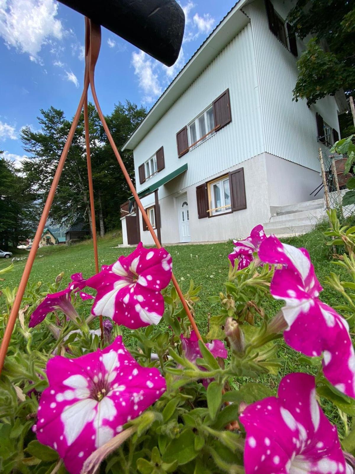 Apartments Marta Жабляк Екстер'єр фото